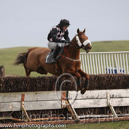 02nd Carnglave Cat ( 1 ) N McParlan - Trainer: Daniel A Fitzsimmons - black pink diamonds