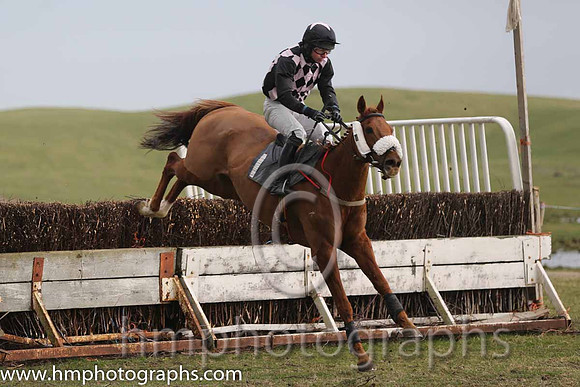 02nd Carnglave Cat ( 1 ) N McParlan - Trainer: Daniel A Fitzsimmons - black pink diamonds