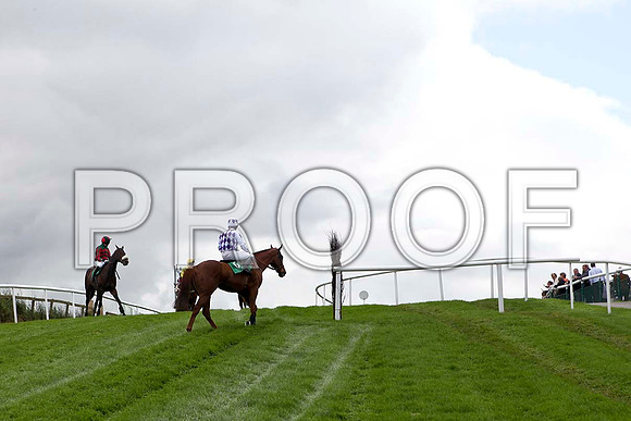 Bold Apache - 7th , Jockey P Townend  -IMG_9403-e