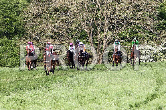 Race 6 Div 2 - Glyding Feather (10) Winner, Rider M J O'Hare - 2nd from right - CU2D9796-e