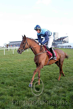 Kauto Stone & D A Jacob - Winner (6, Light blue and dark blue chevrons) - CU2D4876-eb