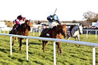 2011/03/03rd Race 4 - JNWine.com Champion Steeplechase (Grade 1) at Down Royal of 140,000 Euro