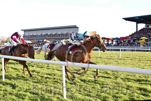 First Lieutenant & B J Cooper - 2nd (3, maroon, white star, white cap) & Kauto Stone & D A Jacob - Winner (6, Light blue and dark blue chevrons) - CU2D4884-e