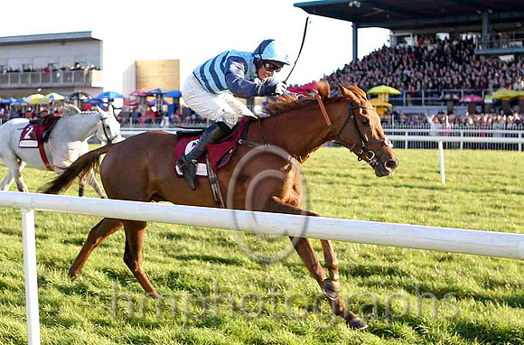 Kauto Stone & D A Jacob - Winner (6, Light blue and dark blue chevrons) - CU2D4885-e