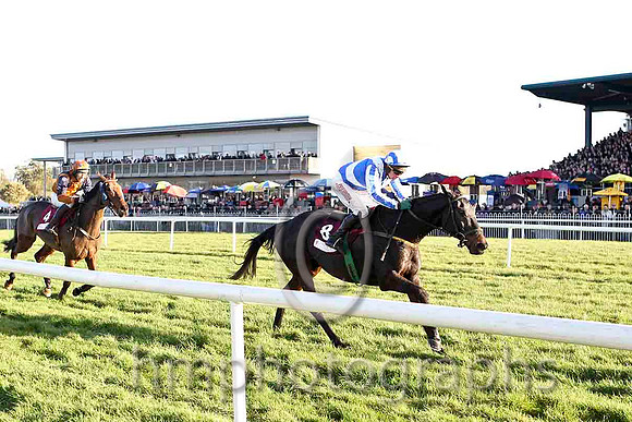 Follow The Plan & T J Doyle - 6th (4, orange, dark blue braces) & Realt Dubh & P Carberry - 4th (8, royal blue, white cross sashes) -  - CU2D4892-e