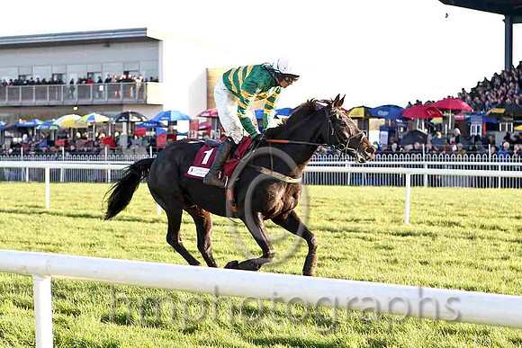 Bob Lingo & M P Walsh 7th (1, Emerald Green and Orange hooped) - CU2D4898-e