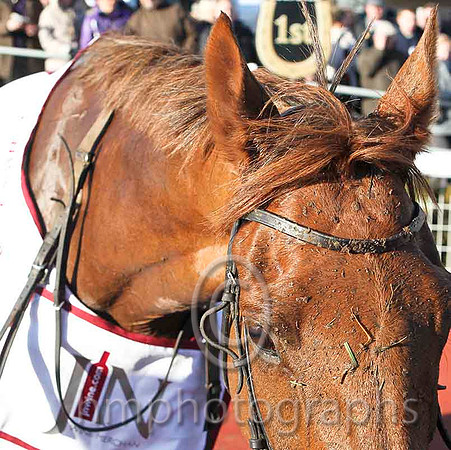 Kauto Stone & D A Jacob - Winner (6, Light blue and dark blue chevrons) - CU2D4931-e