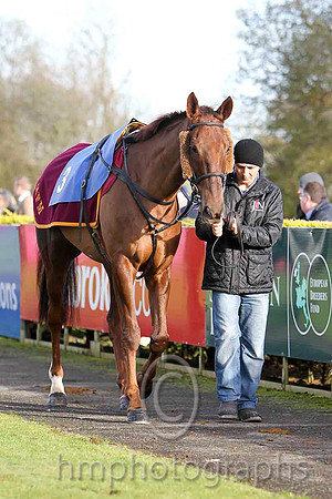First Lieutenant & B J Cooper - 2nd (3, maroon, white star, white cap) - FT8E8045-e