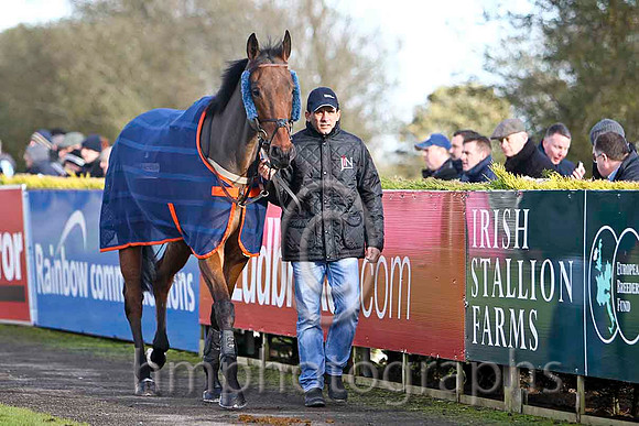 Follow The Plan & T J Doyle - 6th (4, orange, dark blue braces) - FT8E8072-e
