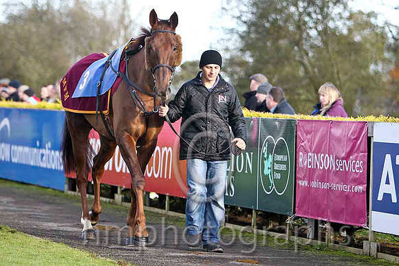 First Lieutenant & B J Cooper - 2nd (3, maroon, white star, white cap) - FT8E8074-e