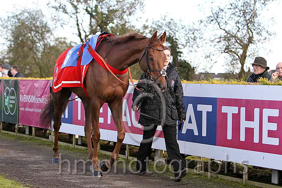 Kauto Stone & D A Jacob - Winner (6, Light blue and dark blue chevrons) - FT8E8101-e