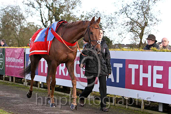 Kauto Stone & D A Jacob - Winner (6, Light blue and dark blue chevrons) - FT8E8102-e