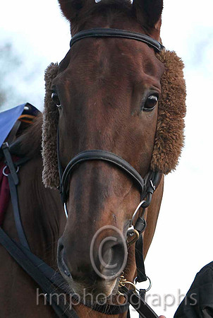 First Lieutenant & B J Cooper - 2nd (3, maroon, white star, white cap) - FT8E8125-e