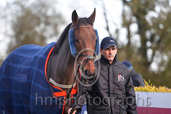 Follow The Plan & T J Doyle - 6th (4, orange, dark blue braces) - FT8E8117-e