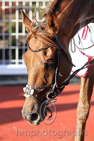 Kauto Stone & D A Jacob - Winner (6, Light blue and dark blue chevrons) - FT8E8167-e