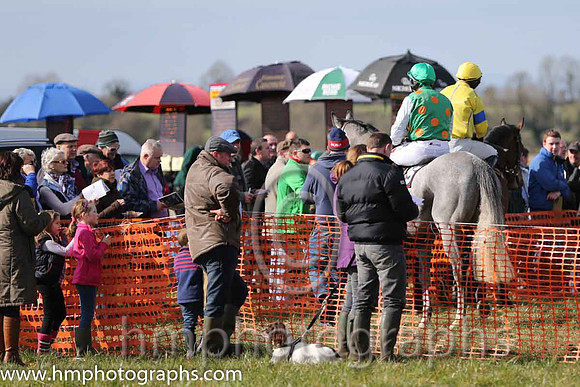 Parade Ring at Iveagh P2P at Maralin