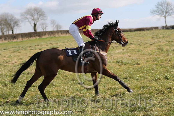 08th PU Lighting Tunes ( 11 )  B Brown - Trainer: Cian Hughes - maroon, yellow panel