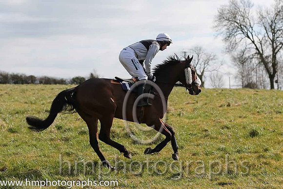02nd A Plein Temps ( 1 )  Derek O'Connor - Trainer: Colin S McKeever - black and white qtrd