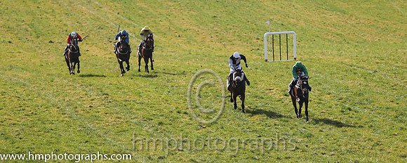01st Thebarrowman ( 14 )  J McKeown - Trainer: Adrian P Keatley - emerald green, yellow triple diamond