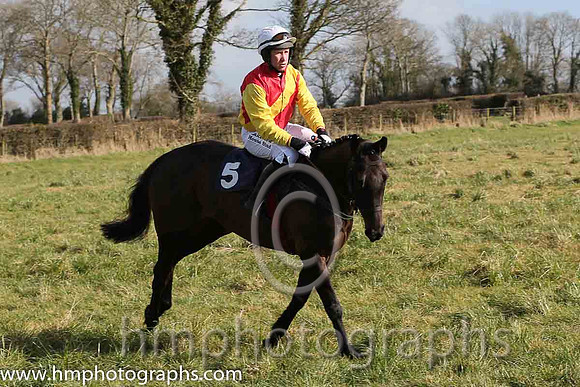 10th PU Le'article ( 5 )  J McKeown - Trainer: C A McBratney - red, yellow sash