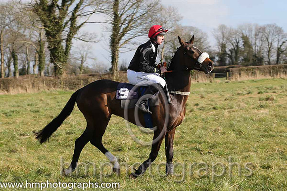 02nd Sue Oscar ( 9 )  J J Codd - Trainer: Gavin Cromwell - grey, dark blue disc