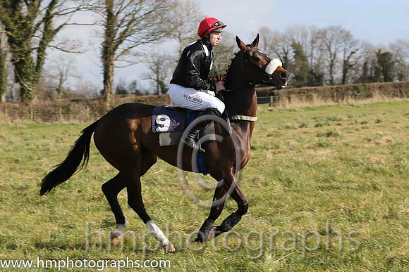 02nd Sue Oscar ( 9 )  J J Codd - Trainer: Gavin Cromwell - grey, dark blue disc