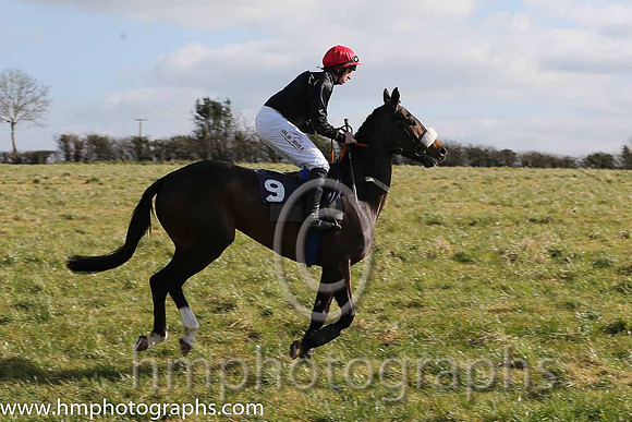 02nd Sue Oscar ( 9 )  J J Codd - Trainer: Gavin Cromwell - grey, dark blue disc