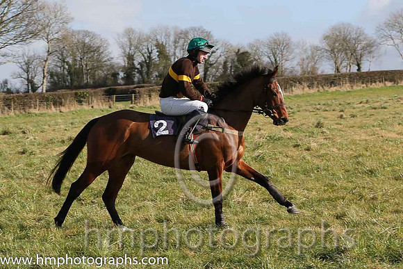 03rd Isn't She Lovely ( 2 )  N McParlan - Trainer: J G Cosgrave - brown, yellow hoop