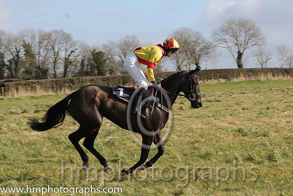 08th PU Dixie Rebel ( 1 )  Miss K Ferris - Trainer: Eoin G Barry - yellow, red cross belts