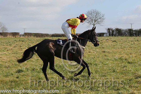 08th PU Dixie Rebel ( 1 )  Miss K Ferris - Trainer: Eoin G Barry - yellow, red cross belts
