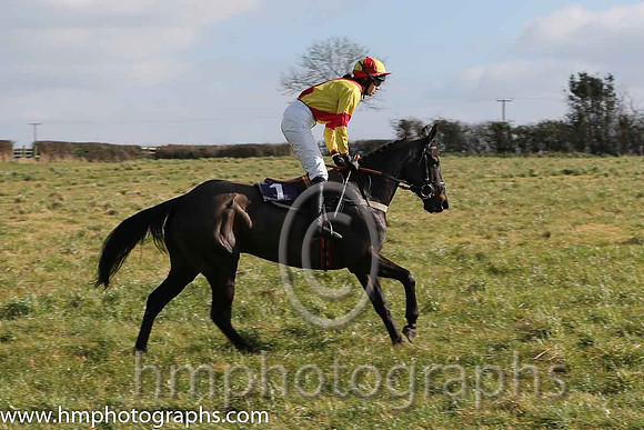 08th PU Dixie Rebel ( 1 )  Miss K Ferris - Trainer: Eoin G Barry - yellow, red cross belts