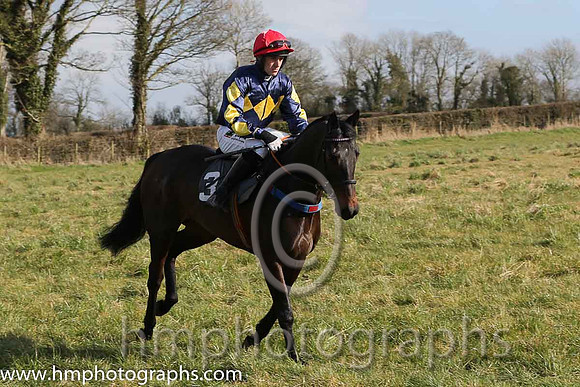 07th PU Katie's Hen ( 3 )  B O'Neill - Trainer: Colin Bowe - blue, yellow triple diamond