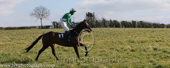 04th Yewtree Girl ( 11 )  J Cresswell - Trainer: J J Lambe - emerald green, white sash