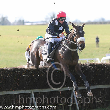 02nd Sue Oscar ( 9 )  J J Codd - Trainer: Gavin Cromwell - grey, dark blue disc