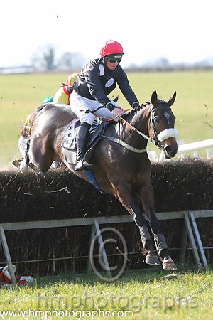 02nd Sue Oscar ( 9 )  J J Codd - Trainer: Gavin Cromwell - grey, dark blue disc