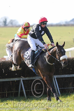 02nd Sue Oscar ( 9 )  J J Codd - Trainer: Gavin Cromwell - grey, dark blue disc