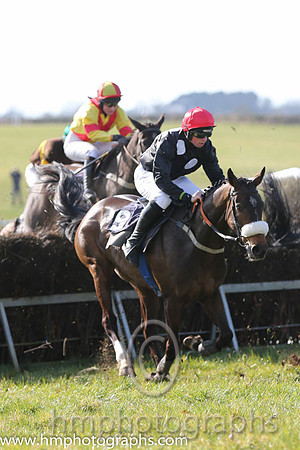 02nd Sue Oscar ( 9 )  J J Codd - Trainer: Gavin Cromwell - grey, dark blue disc