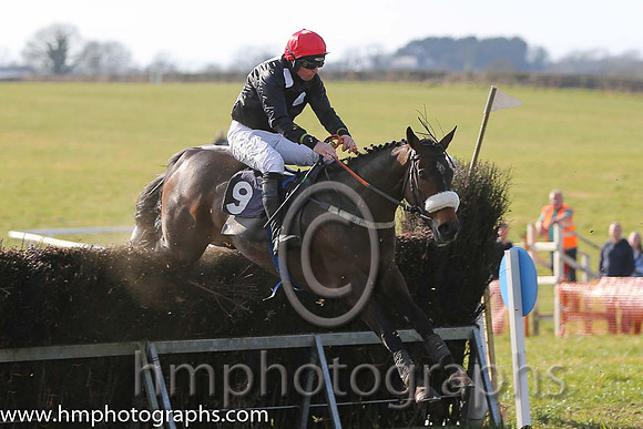 02nd Sue Oscar ( 9 )  J J Codd - Trainer: Gavin Cromwell - grey, dark blue disc