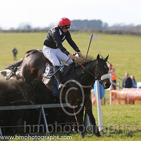 02nd Sue Oscar ( 9 )  J J Codd - Trainer: Gavin Cromwell - grey, dark blue disc