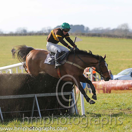 03rd Isn't She Lovely ( 2 )  N McParlan - Trainer: J G Cosgrave - brown, yellow hoop