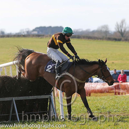 03rd Isn't She Lovely ( 2 )  N McParlan - Trainer: J G Cosgrave - brown, yellow hoop