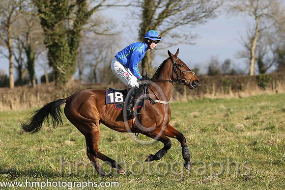 12th PU Shabby Dan ( 18 )  J C Barry - Trainer: Hannah L McKee - royal blue, emerald green seams