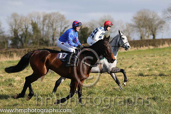 04th Ser Sandor ( 17 )  R James - Trainer: Shane Donohoe - royal blue, red seams