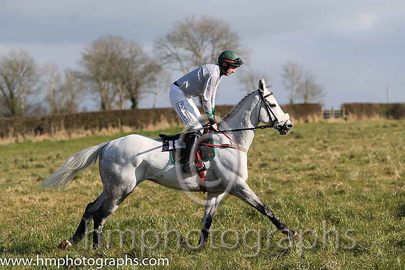 16th PU Just Like Freddie ( 10 )  D G Levery - Trainer: Andrew George Kennedy - grey, green collar