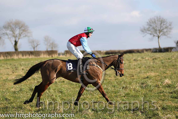13th PU Darsindian ( 8 )  J Cresswell - Trainer: Brian W Dougan - red, blue sleeves