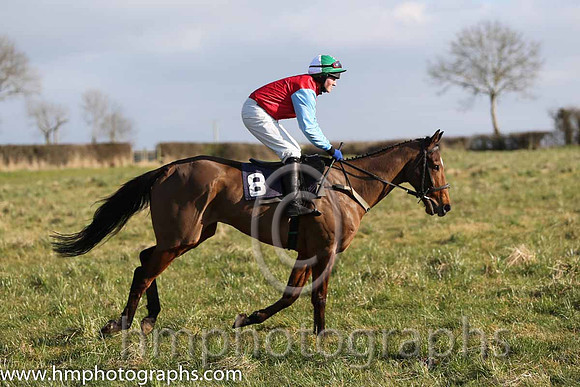13th PU Darsindian ( 8 )  J Cresswell - Trainer: Brian W Dougan - red, blue sleeves