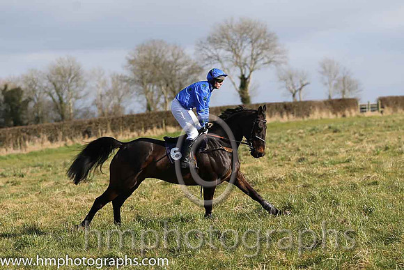 11th PU Cabra Boy ( 6 )  A Wells - Trainer: Alan A H Wells - blue, green stars