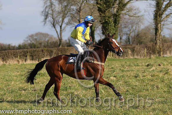 02nd Three Of A Kind ( 20 )  N McParlan - Trainer: Daniel A Fitzsimmons - yellow and royal blue qtrd