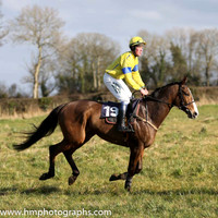 10th PU So Rustic ( 19 ) P Turley - Trainer: J G Cosgrave - yellow, royal blue seams