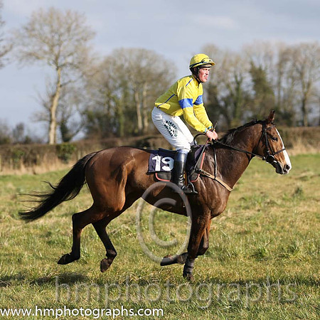 10th PU So Rustic ( 19 )  P Turley - Trainer: J G Cosgrave - yellow, royal blue seams
